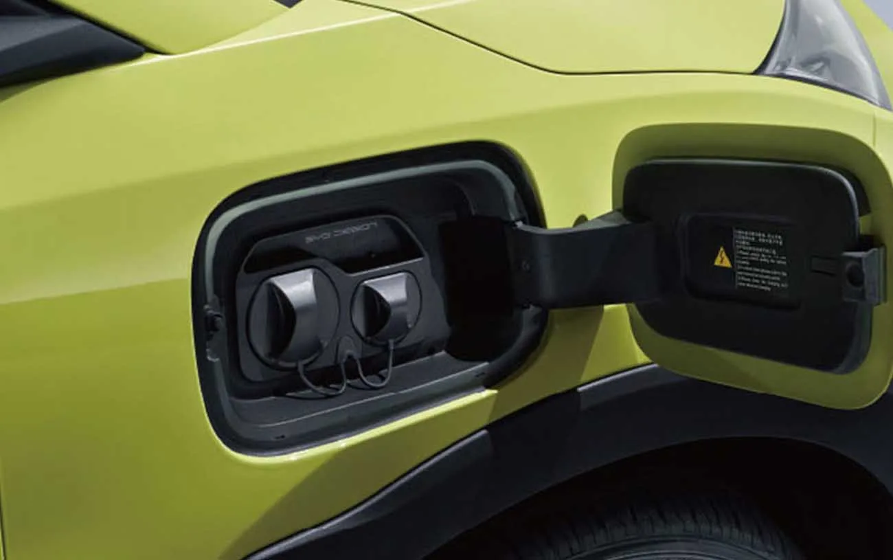 BYD Dolphin Mini GS 2026