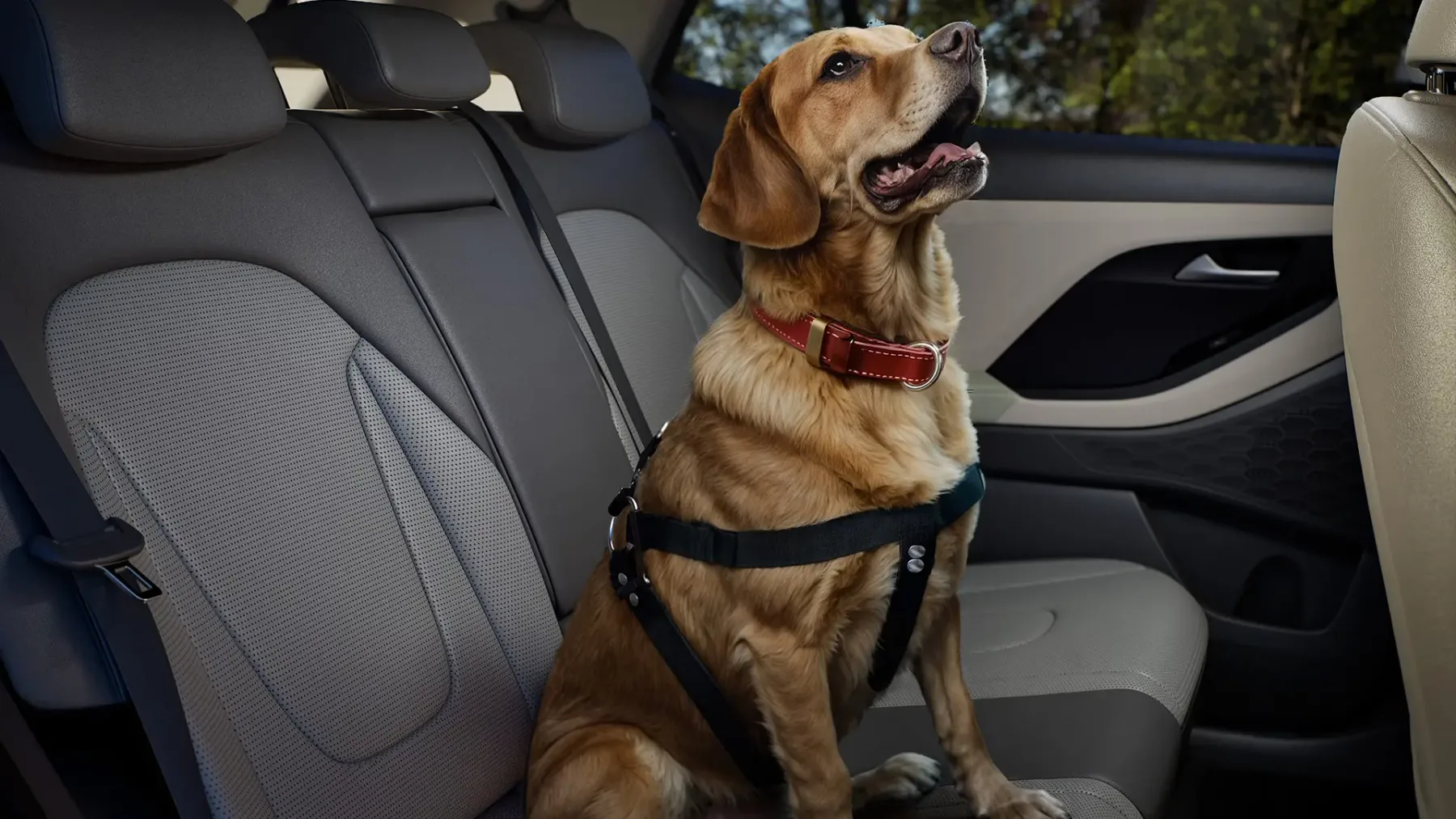 Hyundai Creta N Line 2026