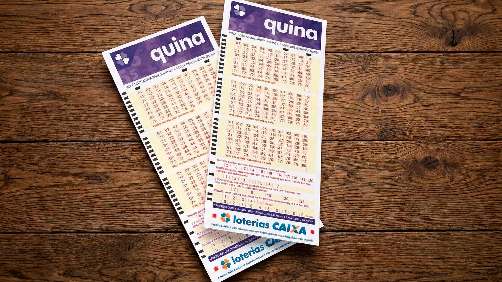 Quina 6957 resultado de hoje 20/02/2026, números sorteados