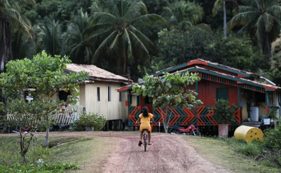 Amazônia Legal em disputa: Quase metade dos conflitos de terra do Brasil está em uma única região, e os números surpreendem
