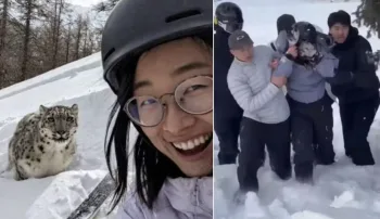 Turista atacada por leopardo das neves: Revelada ‘selfie’ antes do ataque