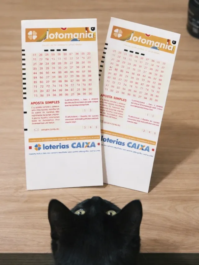 Resultado da Lotomania de Ontem, quarta-feira 25/03/2026; veja números