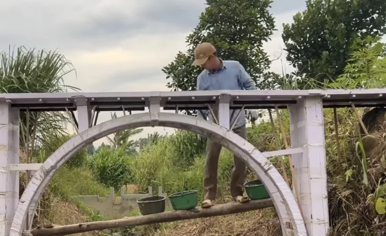 Chamaram de miniatura, mas o que ele construiu sobre o riacho virou aula de engenharia
