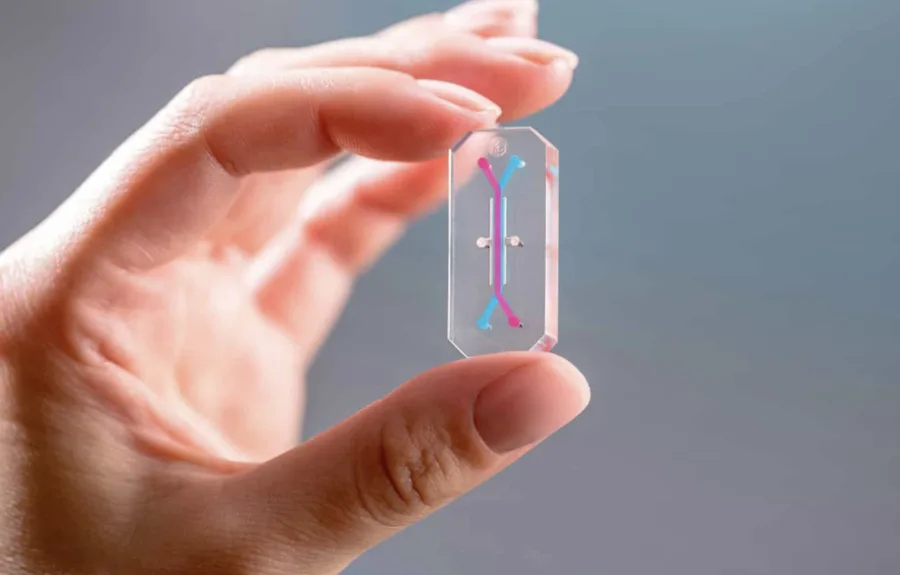 NASA levou à Lua chips com células da medula óssea de astronautas da Artemis 2 para analisar danos causados pela radiação espacial em tempo real