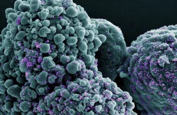 Nova Covid-19? variante BA.3.2 pode aumentar afastamentos e pressionar empresas mesmo sem casos graves