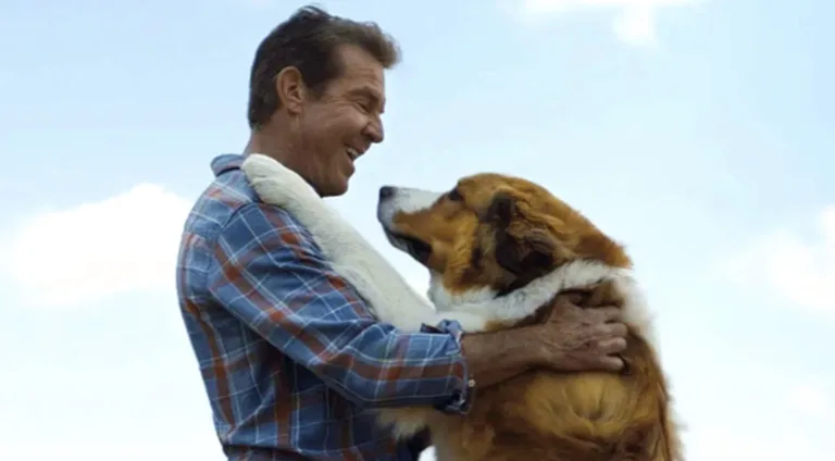 Sessão da Tarde Hoje 07/04: Filme da Globo hoje mostra cachorro que reencarna para proteger menina
