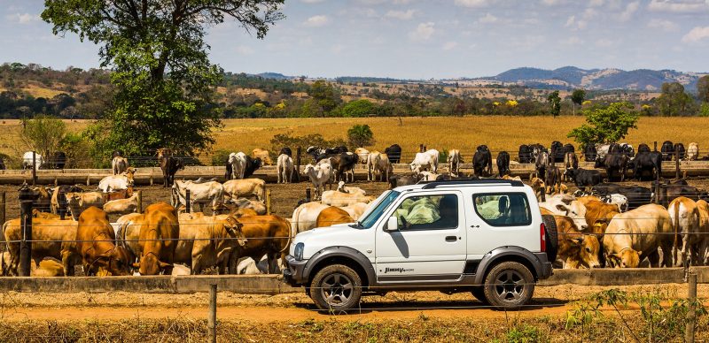 JIMNY 4WORK OFF-ROAD