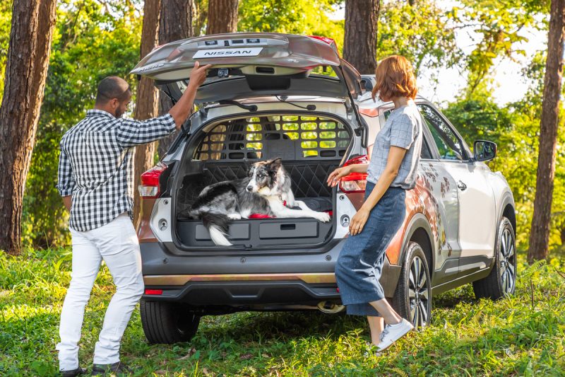 Nissan Kicks For Pets