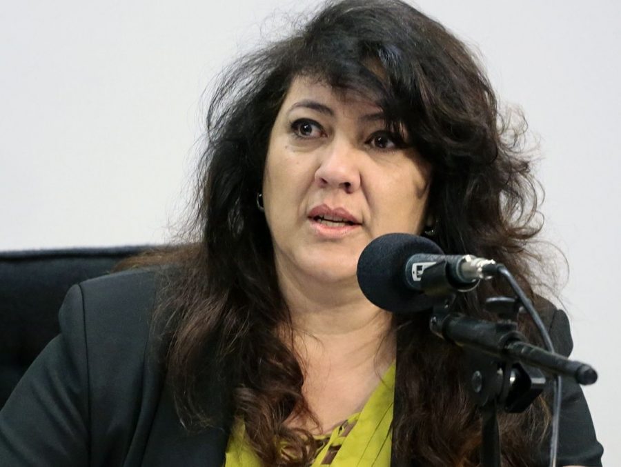 Deputada federal Christiane Yared (PR)