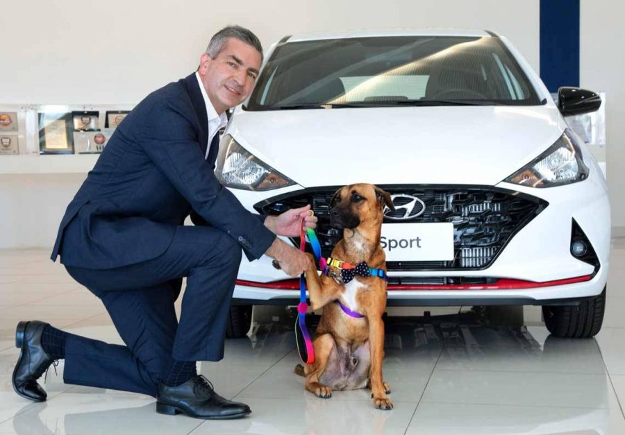 “Cão-sultor” de vendas da Hyundai