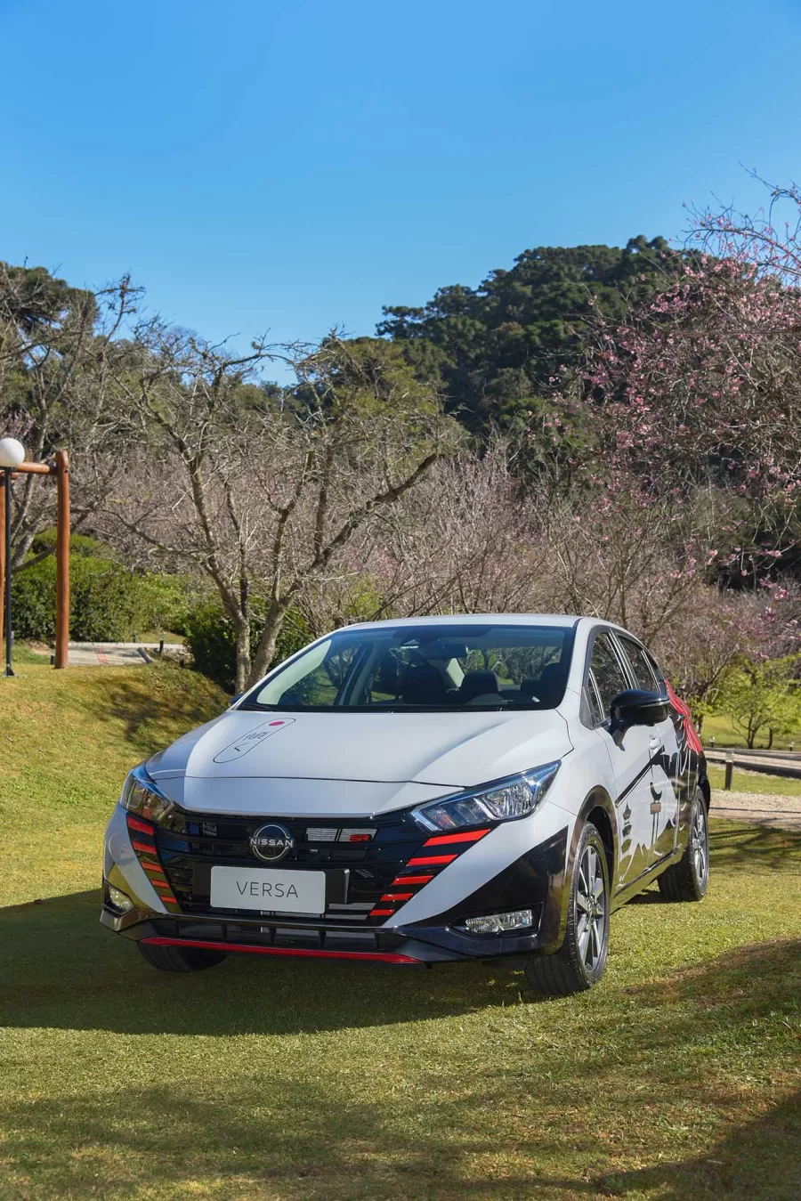 A Festa da Cerejeira celebra o hanami e atrai interessados na cultura japonesa. Desde a década de 1930, Campos do Jordão mantém viva a tradição nipo-brasileira.