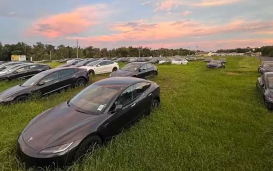 Centenas de Teslas estão estacionados em um terreno na Flórida. Os veículos, incluindo modelos novos como o Model 3 e o Model Y, apresentam características fora de padrão e aguardam por novos donos - Foto: Reprodução / Reddit