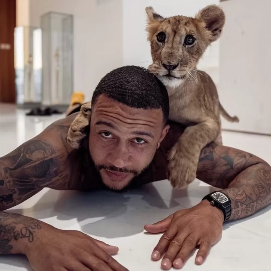 Memphis Depay com um ligre nas costas e um relógio de luxo no pulso — Foto: Reprodução