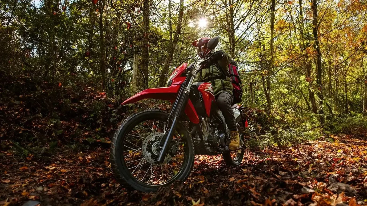 A Honda XR 300L Tornado 2025 reflete o equilíbrio entre tecnologia e acessibilidade. Projetada para desempenho urbano e off-road, é uma opção completa no segmento trail no Brasil.