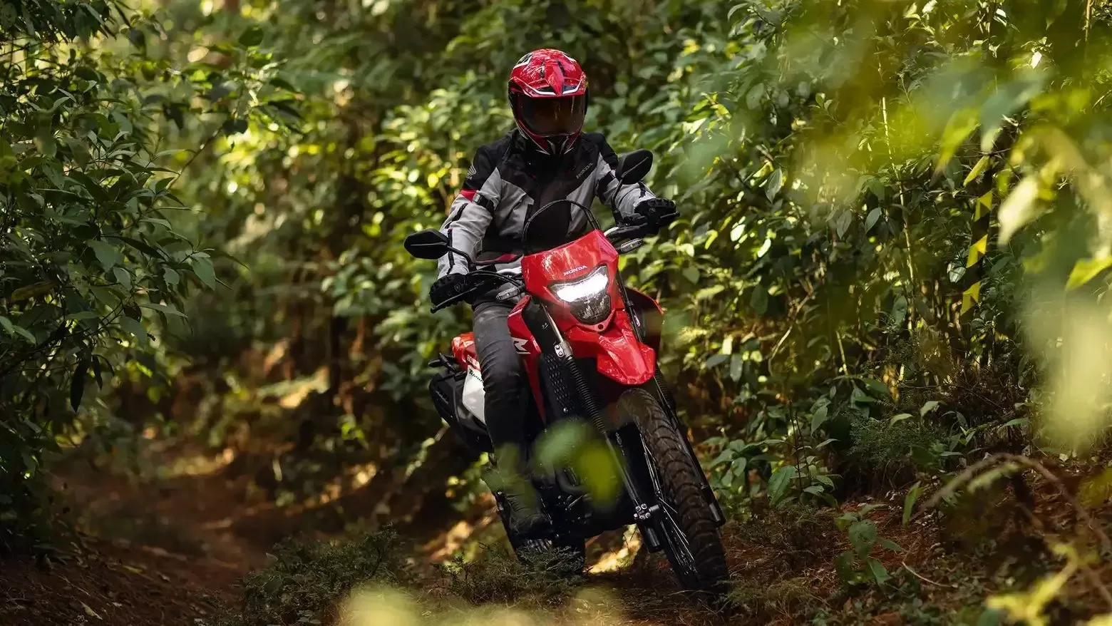 Dimensões otimizadas tornam a moto confortável e funcional. Com altura do assento de 890 mm e peso seco de 143 kg, a XR 300L facilita o manejo em diferentes condições de pilotagem.