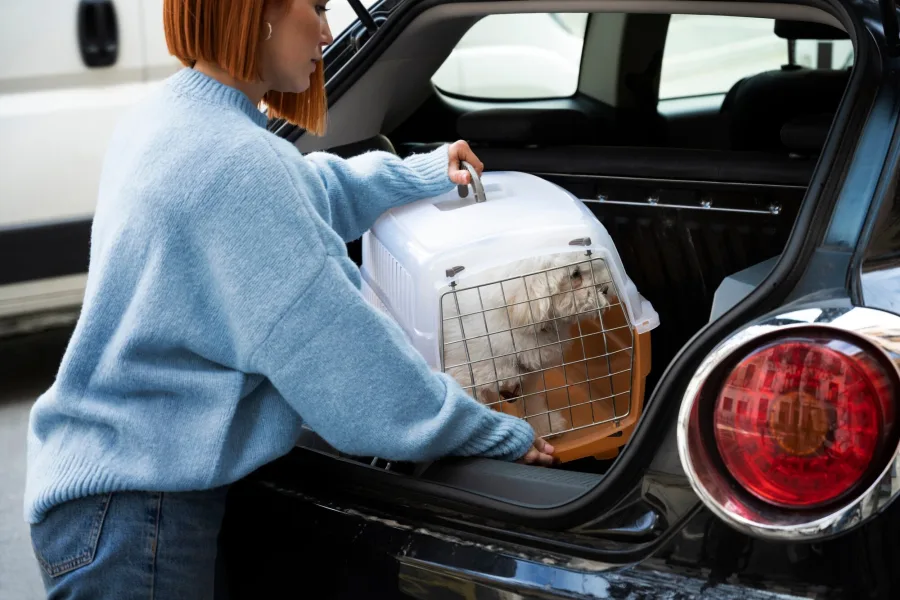 Dispositivos como caixas de transporte, guias acopladas ao cinto de segurança e grades separadoras garantem segurança aos animais e reduzem distrações ao motorista durante a viagem.