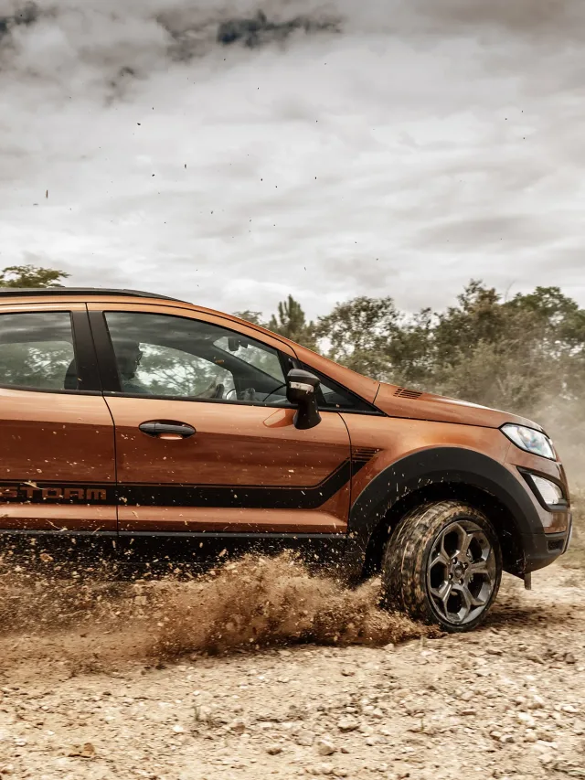 Quanto vale um EcoSport usado?