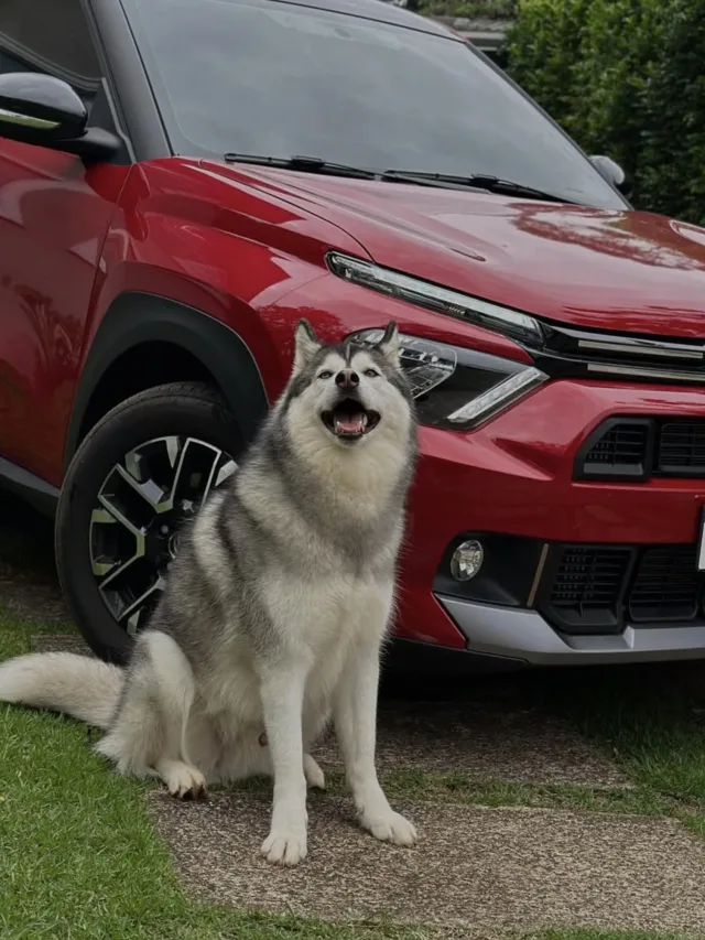 Qual é a SUV mais barata do Brasil?