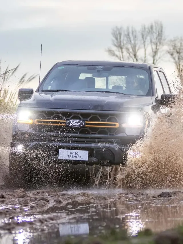 Coragem: Você pagaria R$ 580 mil para enfiar essa picape na lama?