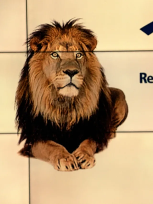 24 de julho: restituição imposto de renda 2025 tem 3º divulgado hoje