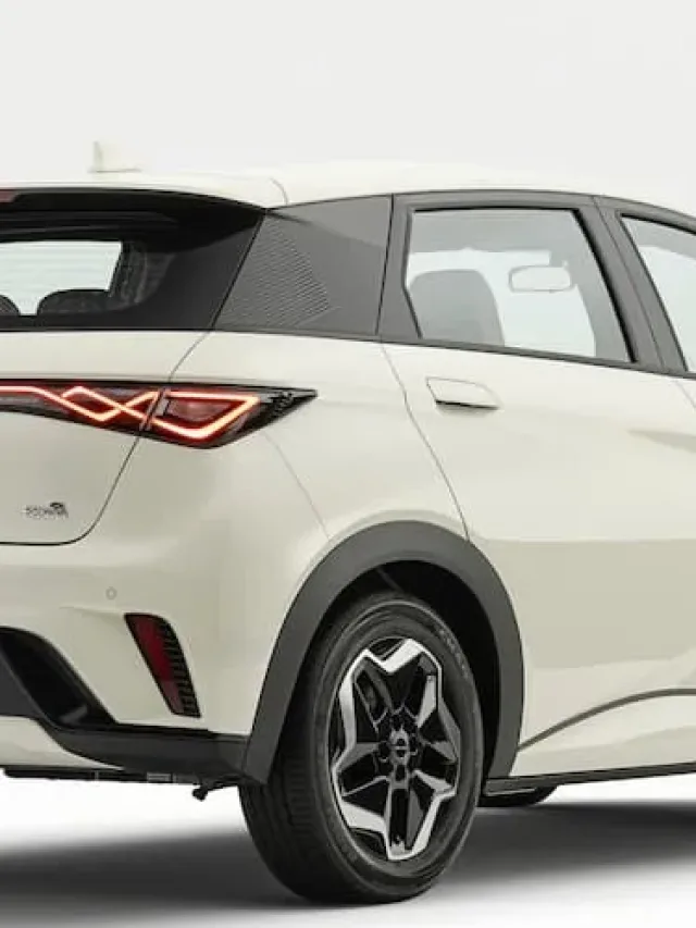 Quanto custa um BYD Dolphin 2026?