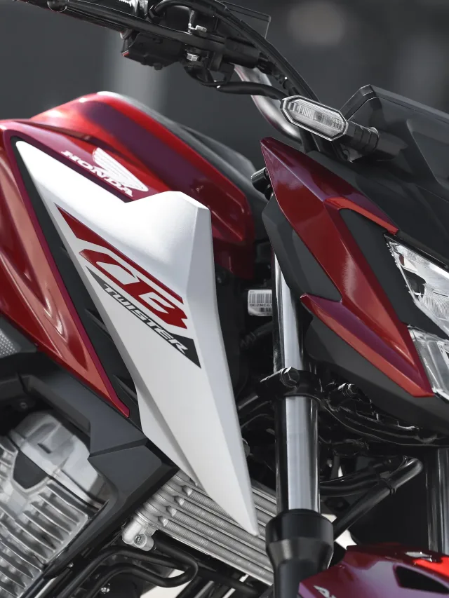 Quantos km a CB 300 Twister faz por litro?