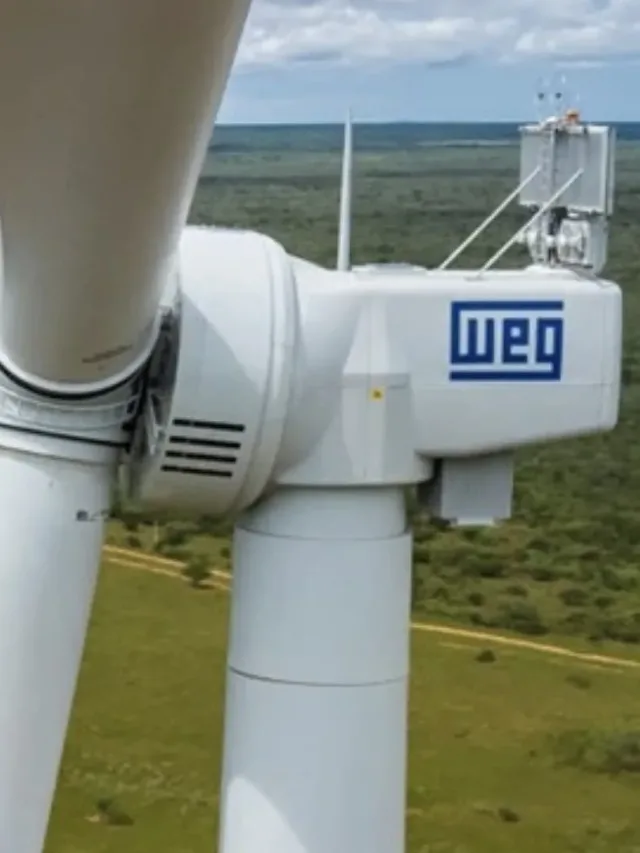 WEGE3 afetando Ibovespa: entenda o que está acontecendo hoje na B3