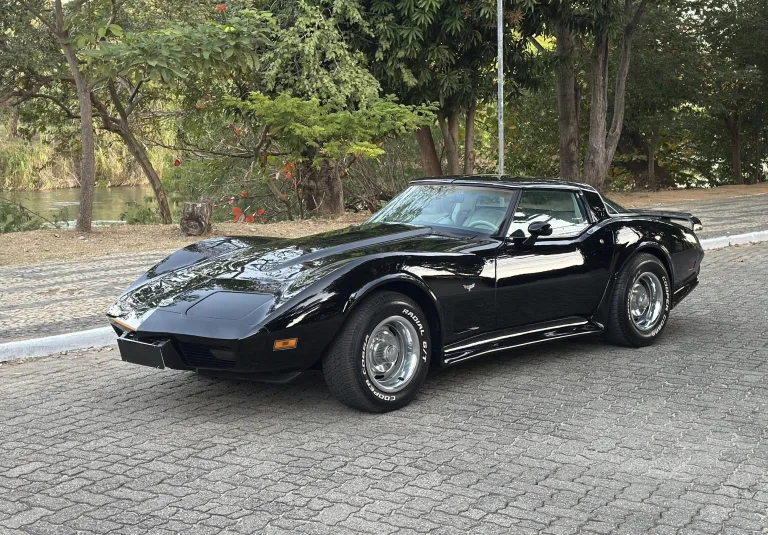 Leilão de carros antigos no Brasil evolui de diversão pra gigante mercado bilionário