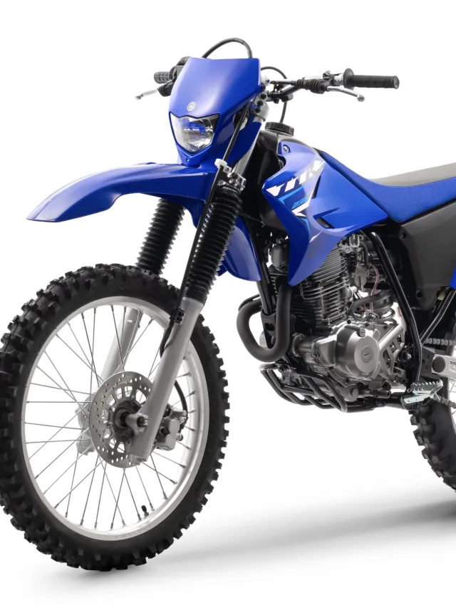 Qual o preço da Yamaha TT-R 230 em 2025?