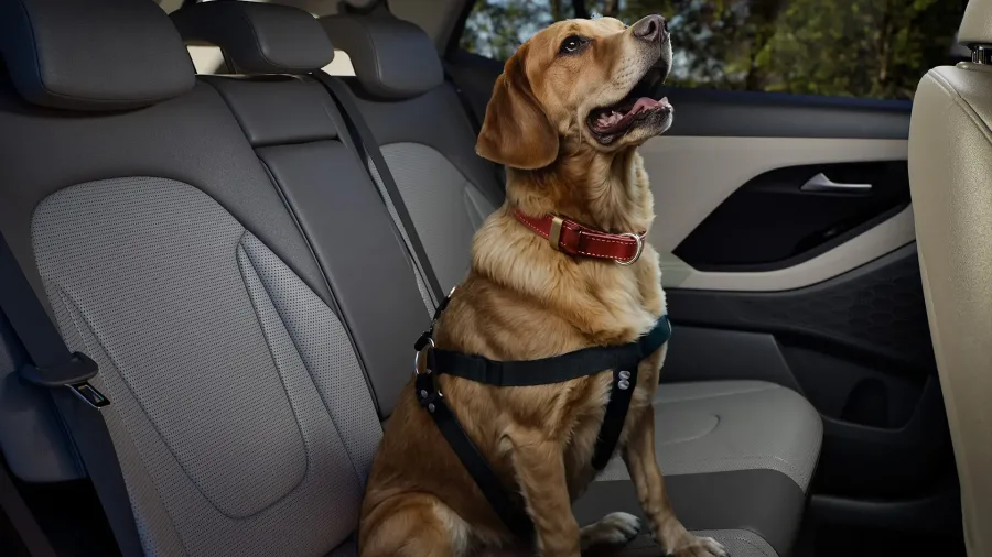 O Creta N Line 1.0 2026 tem cinco lugares e 422 litros de porta-malas, teto solar panorâmico e bancos em couro ventilados. Oferece controle adaptativo de velocidade, alerta de colisão e seis airbags.