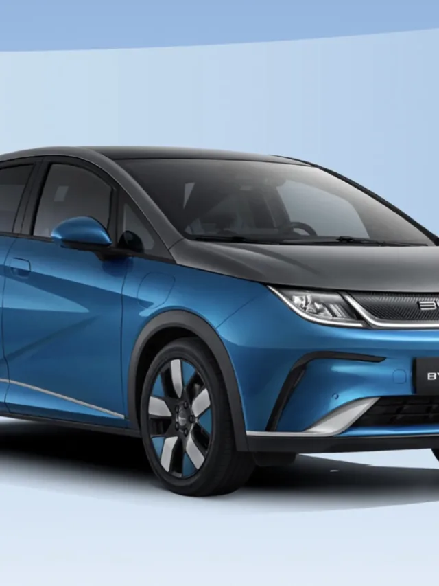 Qual o valor do Dolphin Plus 2025?