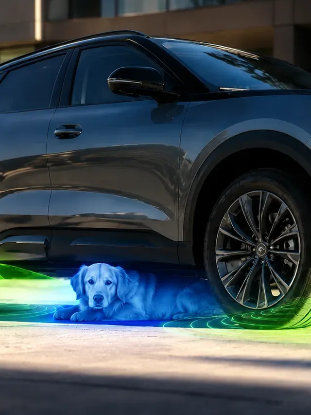 BYD cria sistema para evitar tragédias com animais em baixo do carro